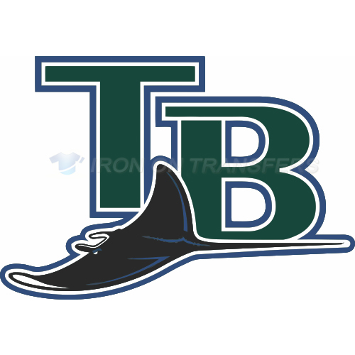 Tampa Bay Rays Iron-on Stickers (Heat Transfers)NO.1943